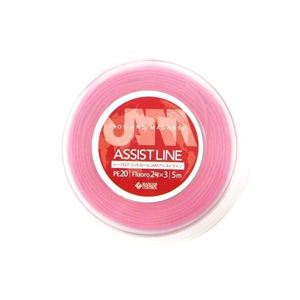 JAMアシストライン PE20号 フロロ2号3本縒 5m