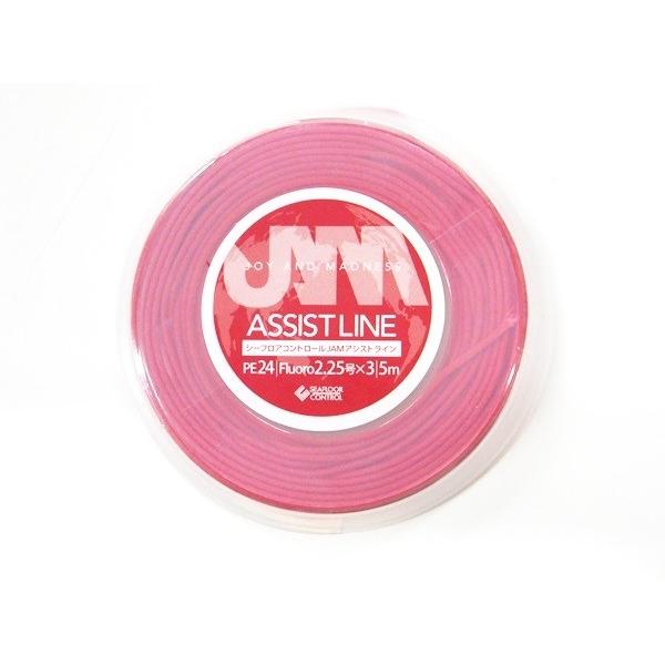 JAMアシストライン PE24号 フロロ2.25号3本縒 5m